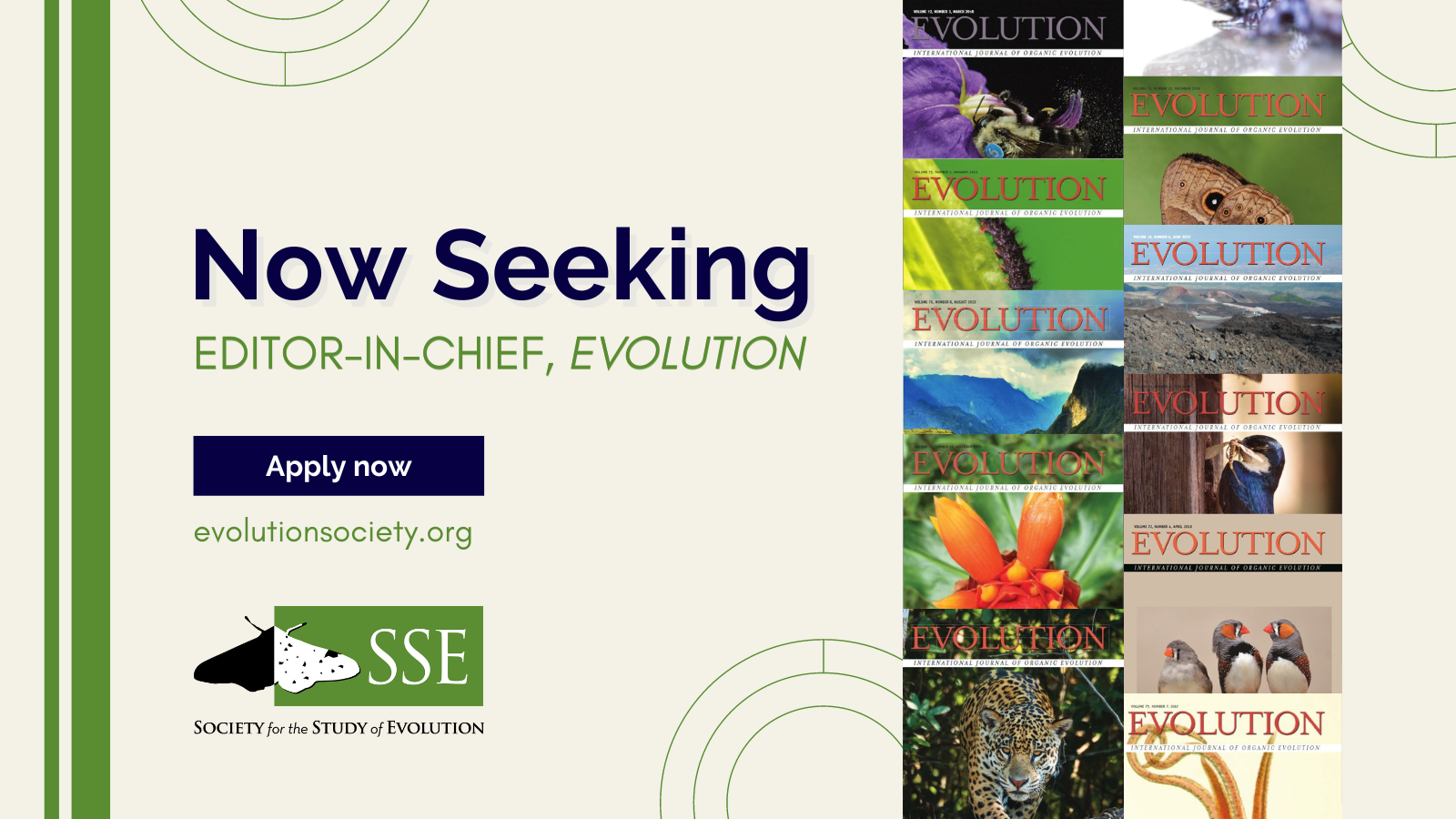 Text: Now Seeking Editor-in-Chief, Evolution. Apply Now. evolutionsociety.org. SSE peppered moth logo. Overlapping Evolution journal covers are lined up to the side of the text.
